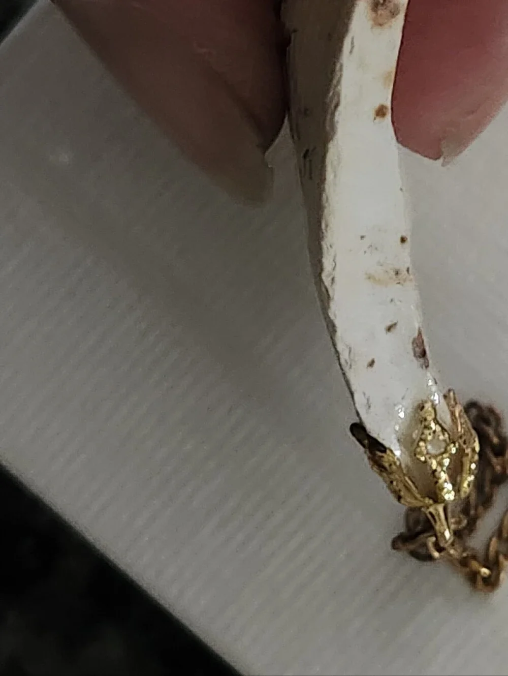 Handmade unique shell